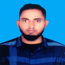 মোঃ বাদশা শাহীন